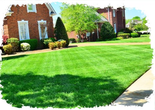 Mowing