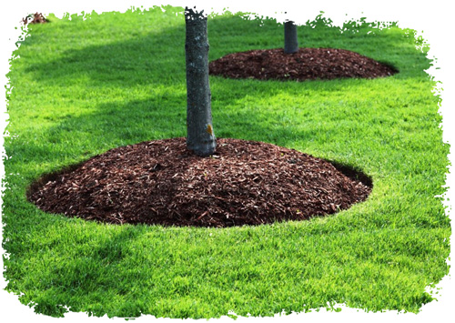 Mulch
